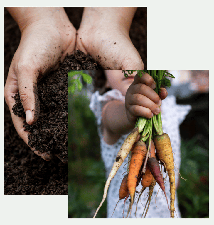 delta-bioag-about-us